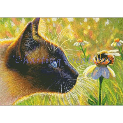 (image for) A Buzz In Sahara’s Garden